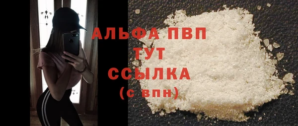 дмт Рославль