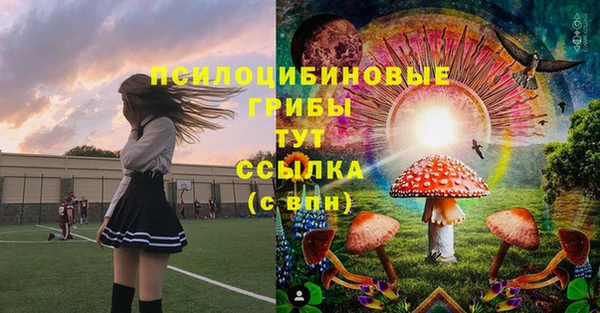 spice Балахна