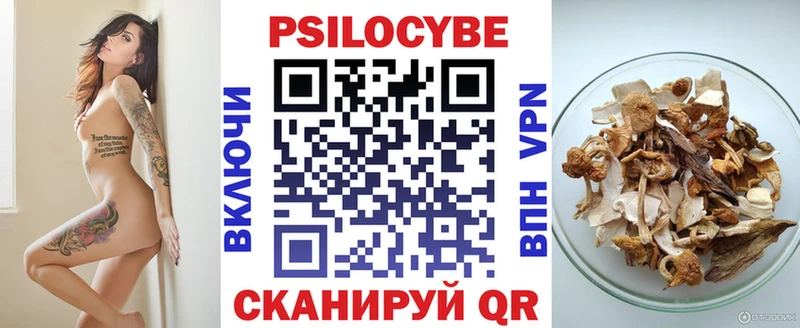 Псилоцибиновые грибы Psilocybine cubensis  Славгород 